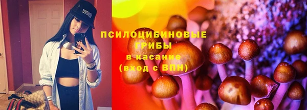 трава Богородицк