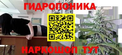MDMA Партизанск