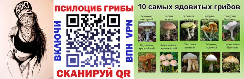 Галлюциногенные грибы мицелий  Сланцы 
