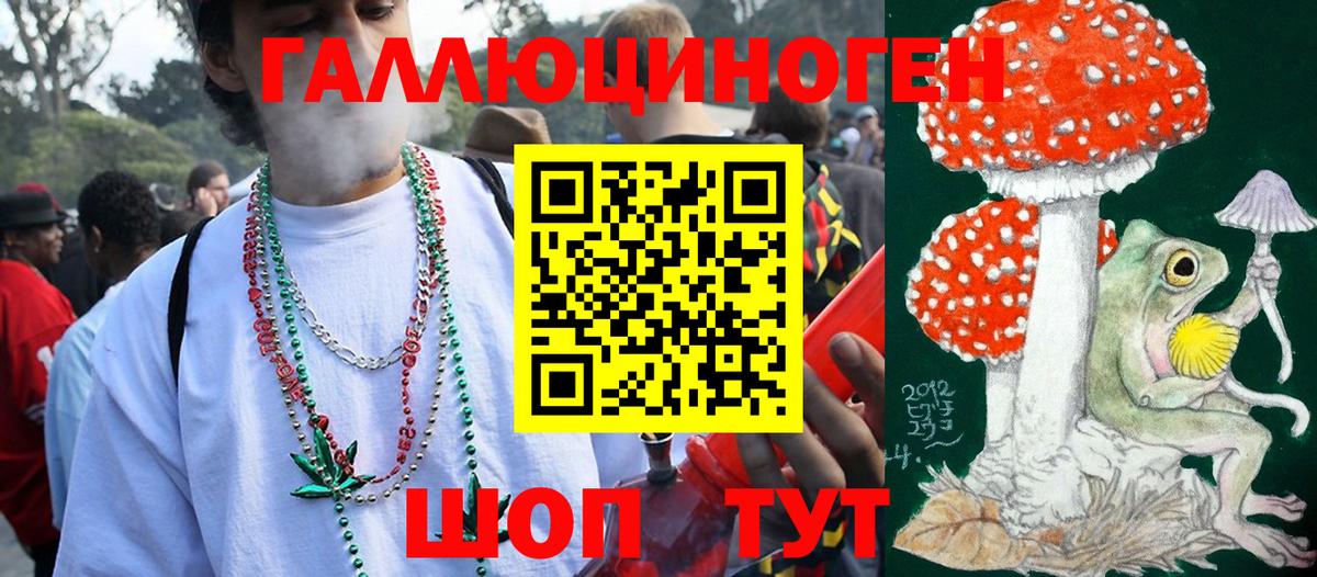Псилоцибиновые грибы мицелий Сланцы