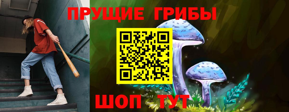 Псилоцибиновые грибы мухоморы  цена   Сланцы  Вход с VPN 