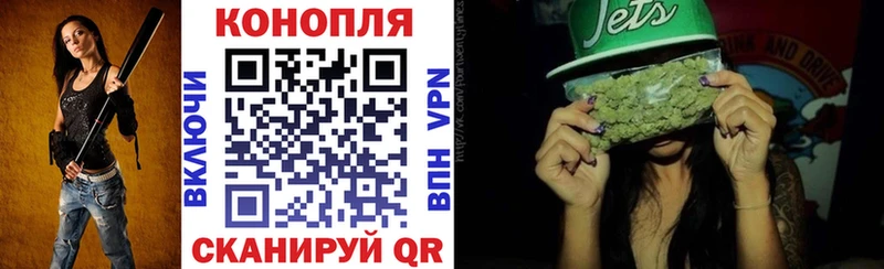 Бошки Шишки OG Kush  Сланцы 